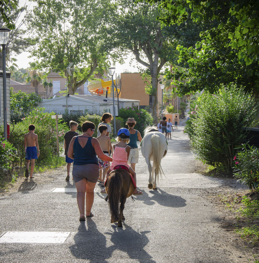 camping herault avec animations